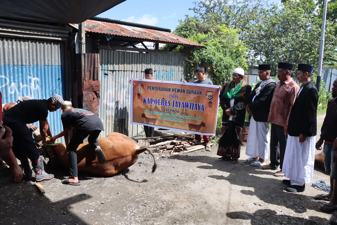 Kapolres Jayawijaya Serahkan Hewan Qurban di Hari Raya Idul Adha 1445 H