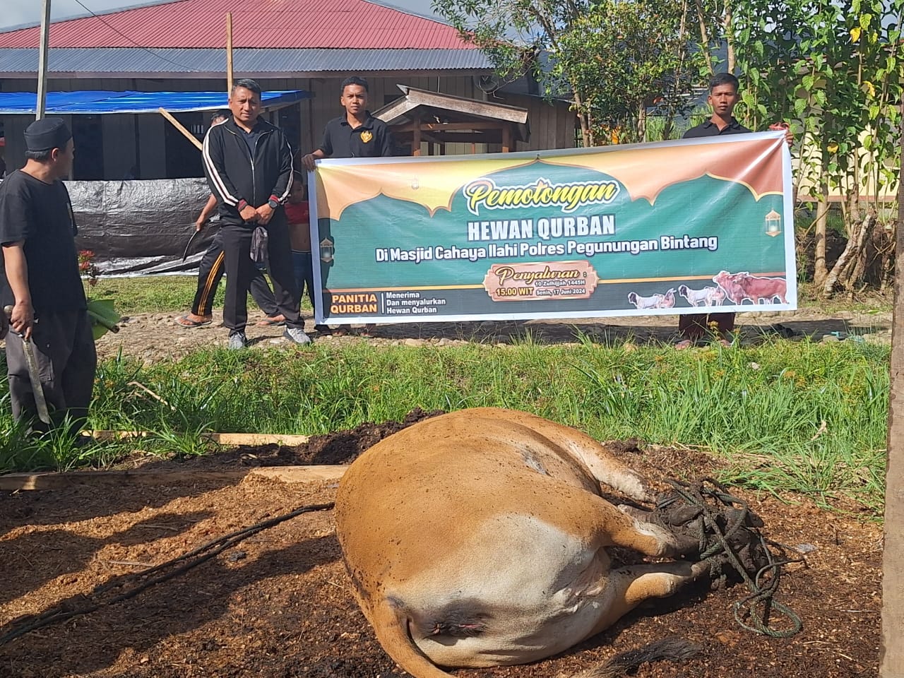 Suasana Khidmat Idul Adha: Polres Pegunungan Bintang Gelar Penyembelihan Hewan Kurban