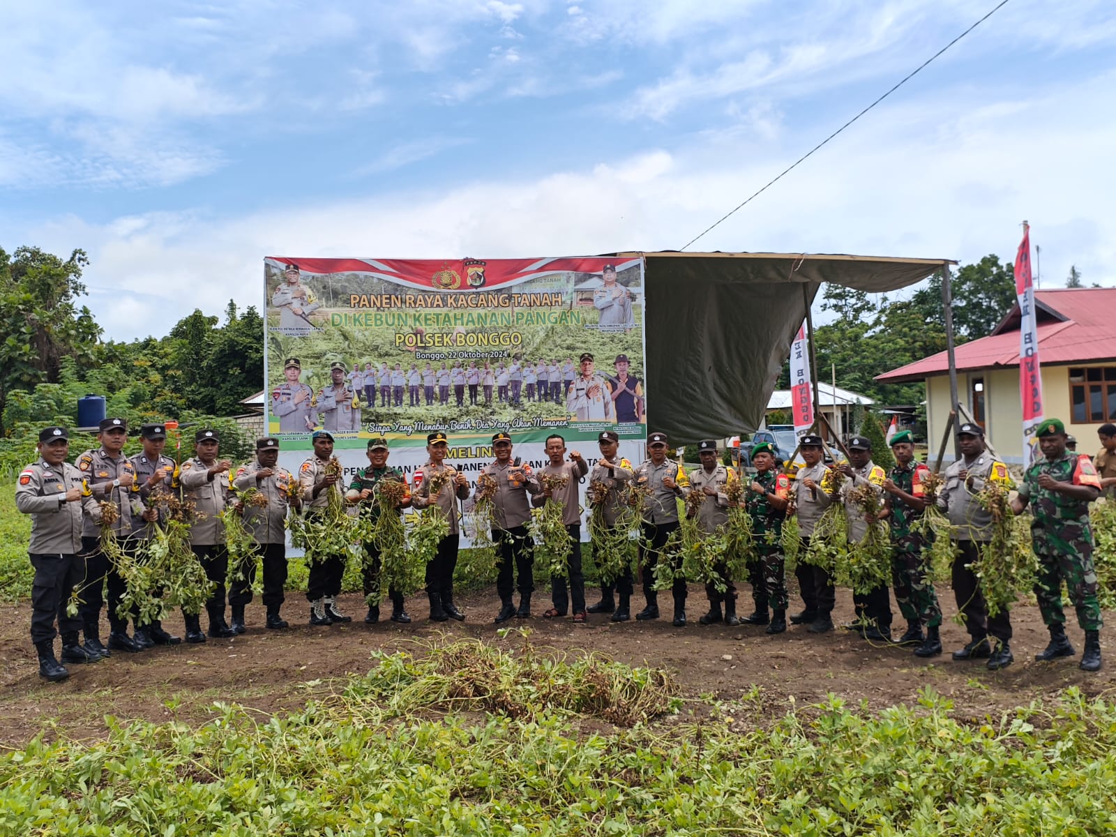 Panen Raya Kacang Tanah di Kebun Ketahanan Pangan Polsek Bonggo