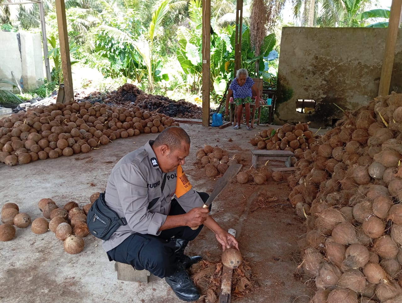 Bhabinkamtibmas Kampung kampung samabusa dukung warga tingkatkan produksi kopra dan pertanian kelapa.