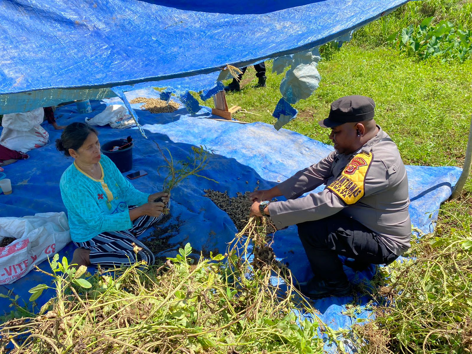 Bhabinkamtibmas Kampung Topo Jaya Dampingi Petani, Dukung Ketahanan Pangan