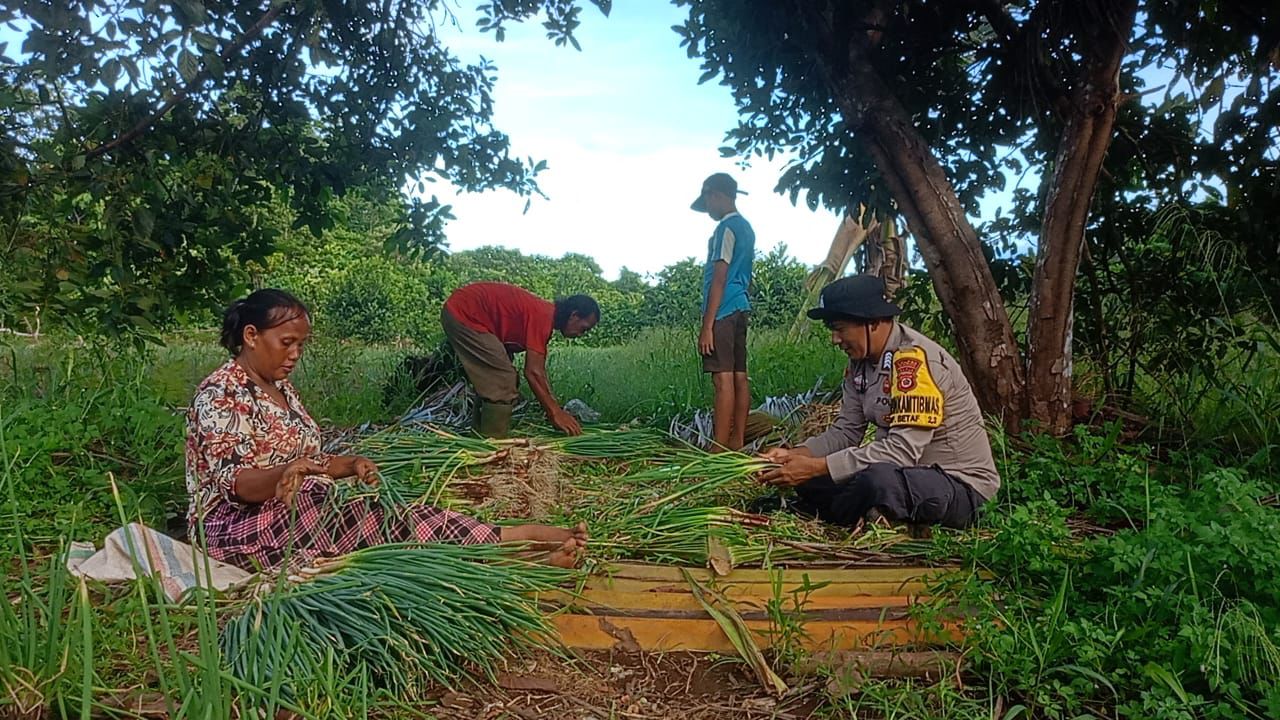 Mendukung Program Ketahanan Pangan, Bhabinkamtibmas Berikan Motivasi Dalam Mengembangkan Tanaman Daun Bawang