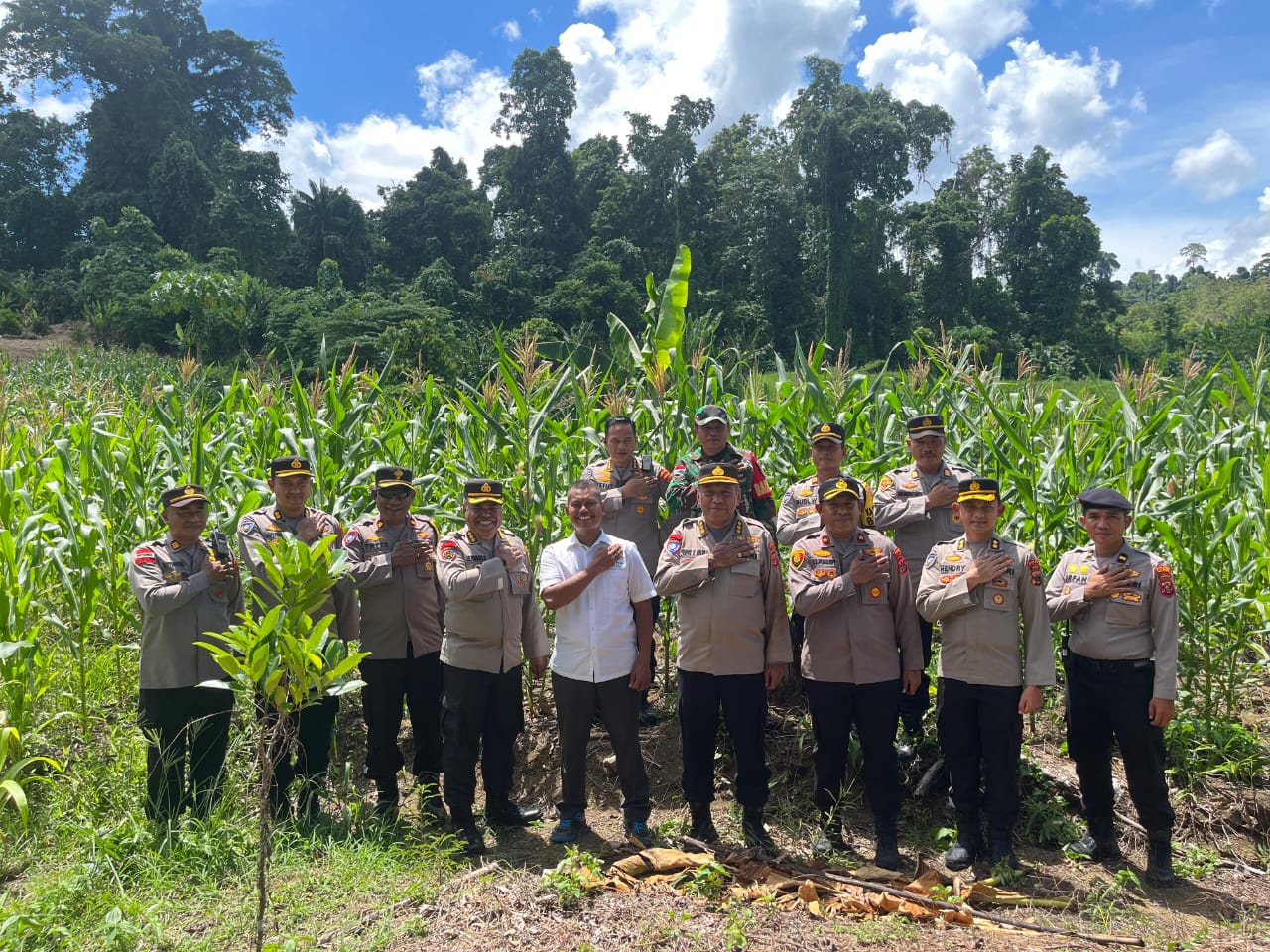 Polda Papua Tinjau Program Lahan Ketahanan Pangan untuk Penanaman Jagung serta Tanaman Tumpang Sari