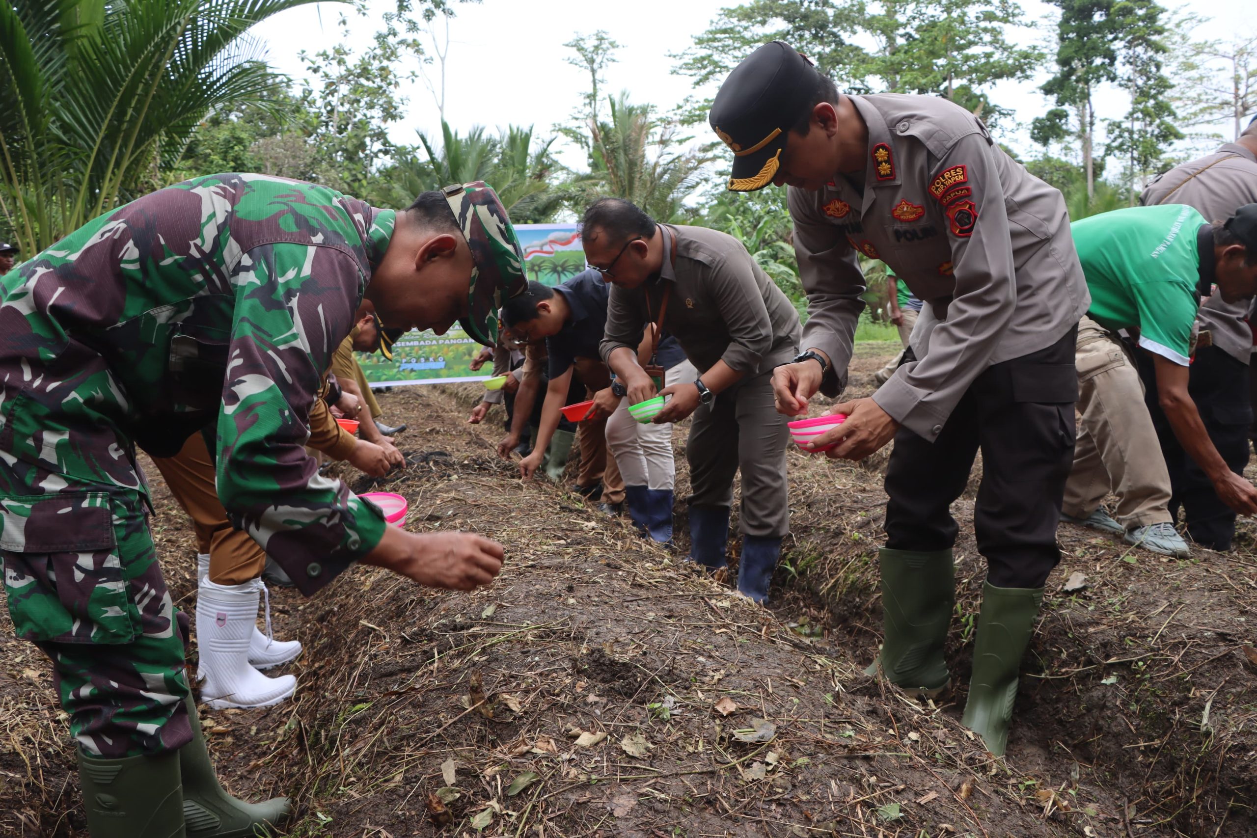 Dukung Program Ketahanan Pangan, Polres Yapen Tanam Bibit Jagung