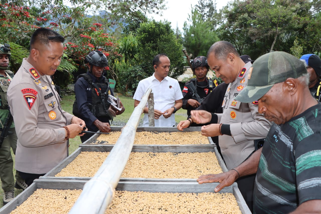 Dukung Perkembangan UMKM, Kapolda Papua Tengah Bersama Forkopimda Puncak Jaya Kunjungi Perkebunan Kopi Mulia