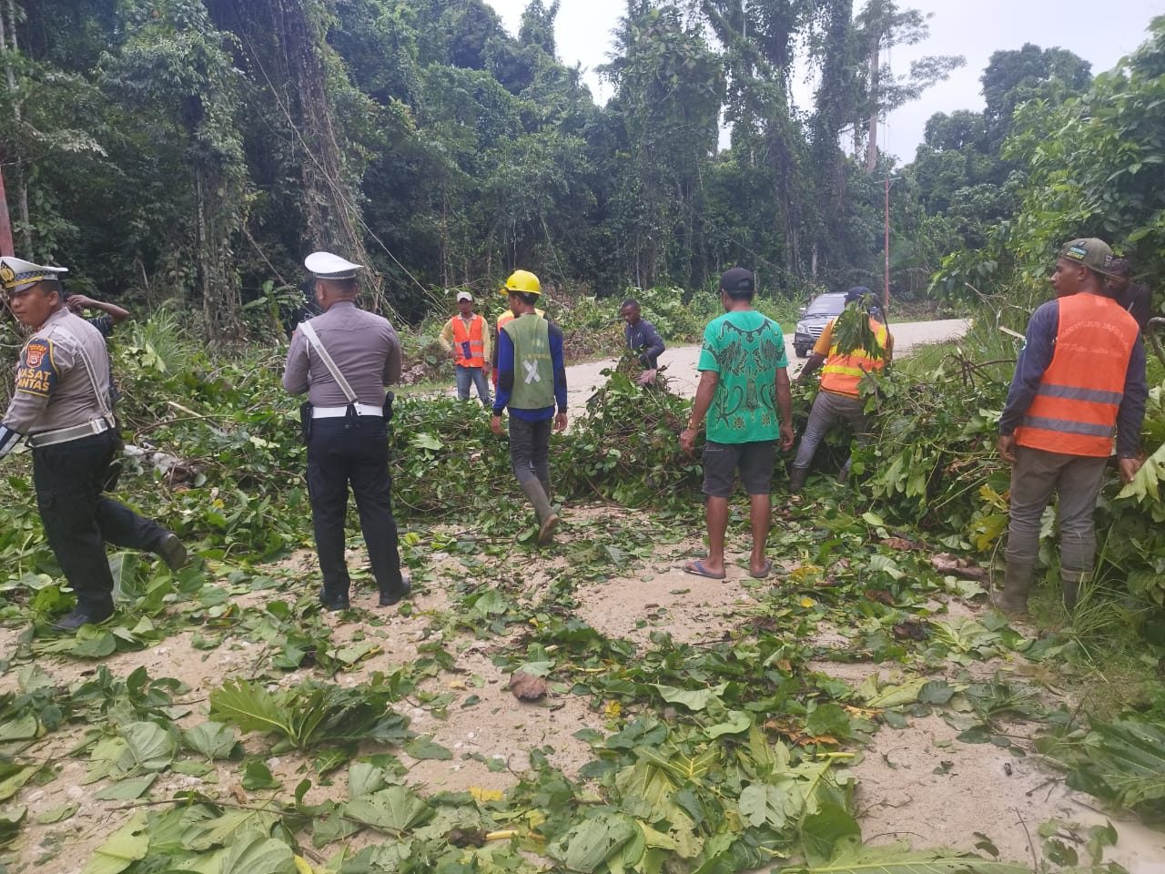 Pohon Tumbang Timpa Jaringan Listrik di Distrik Bonggo, Kab. Sarmi, Polri Gerak Cepat