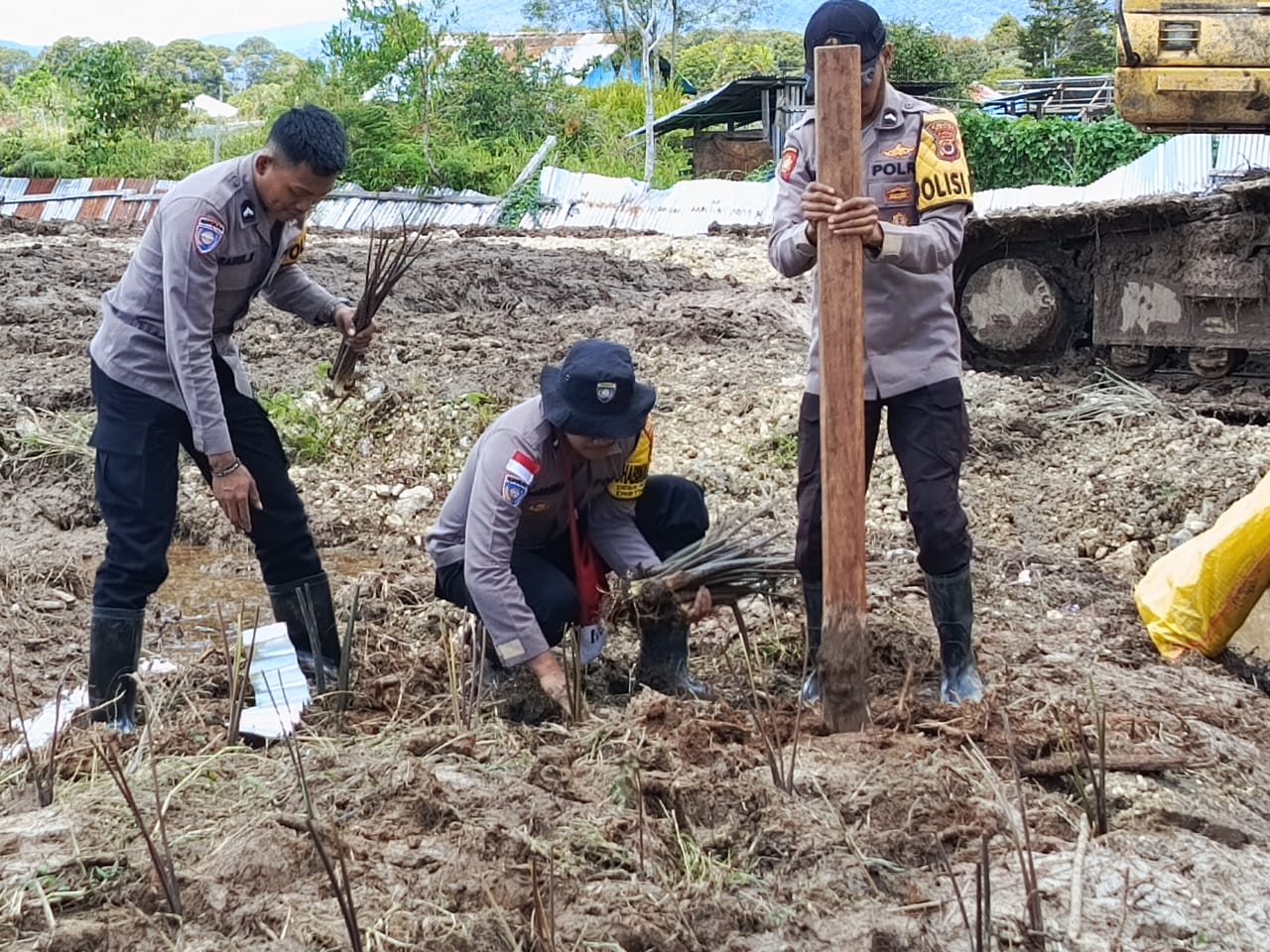 Bhabinkamtibmas Polres Deiyai Polda Papua Tengah Laksanakan Penanaman Bibit Ubi di Lahan Pertanian