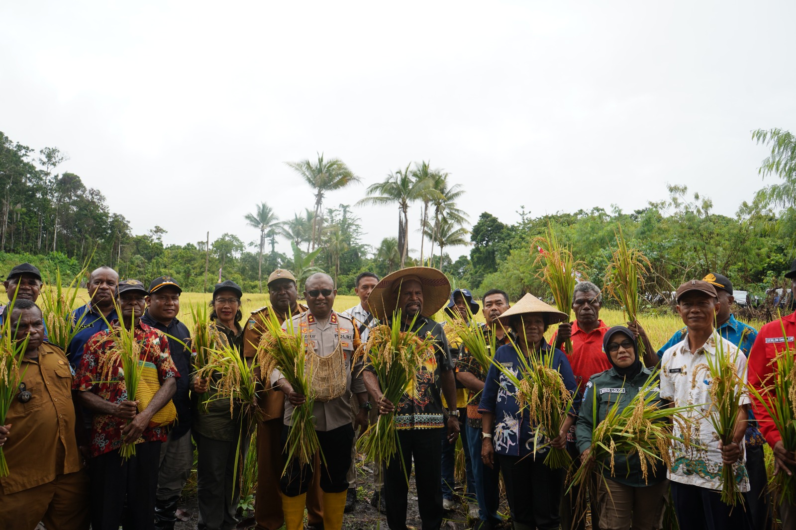 Kapolres Jayapura Beserta Bupati Jayapura dan Forkopimda Kabupaten Jayapura Gelar Panen Perdana Guna Dukung Ketahahan Pangan Nasional