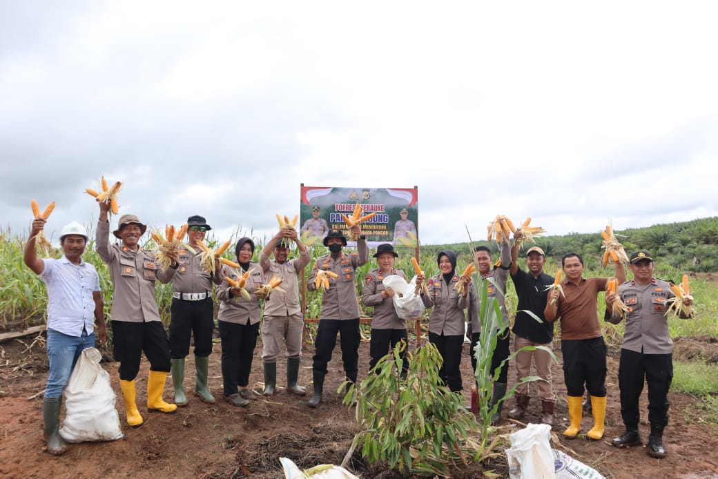 WUJUD KOMITMEN MENDUKUNG PROGRAM KETAHANAN PANGAN, POLRES MERAUKE MELAKSANAKAN KEGIATAN PANEN JAGUNG