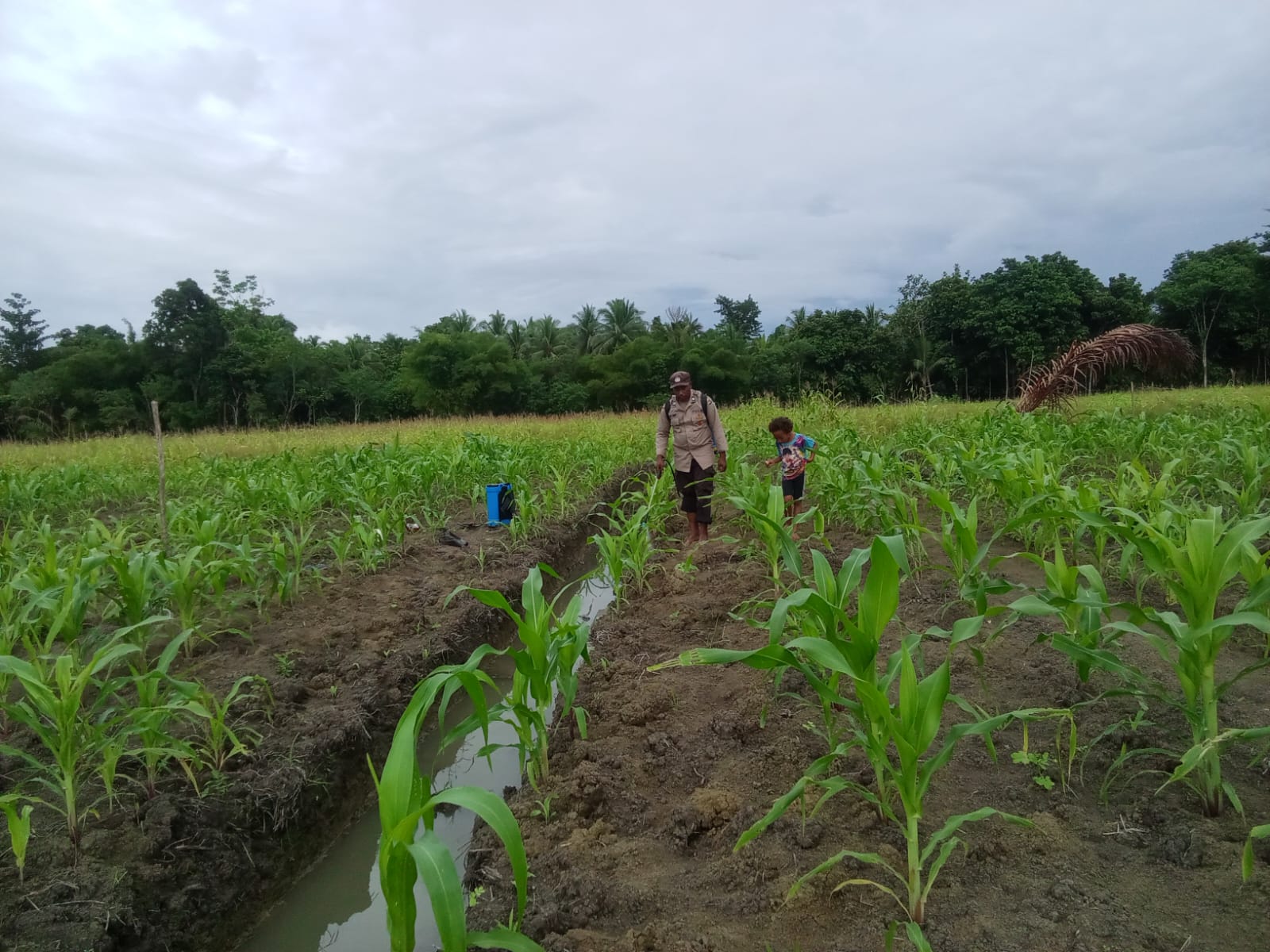 Kapolres Jayapura Pastikan Proyek Pertanian Berjalan dengan Evaluasi Lapangan di Kampung Aib, Distrik Kemtuk
