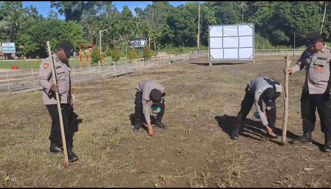 Kapolsek Bonggo bersama anggotanya lakukan Penanaman Benih Jagung Manis EXSOTIC