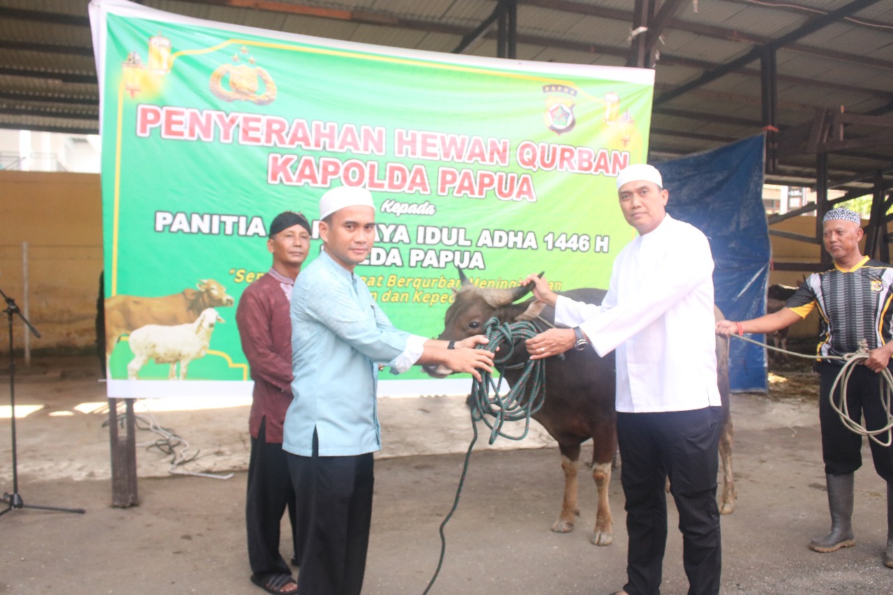Wujud Kepedulian Sosial Momen Idul Adha, Polda Papua Sembelih 21 Ekor Sapi dan 4 Ekor Kambing