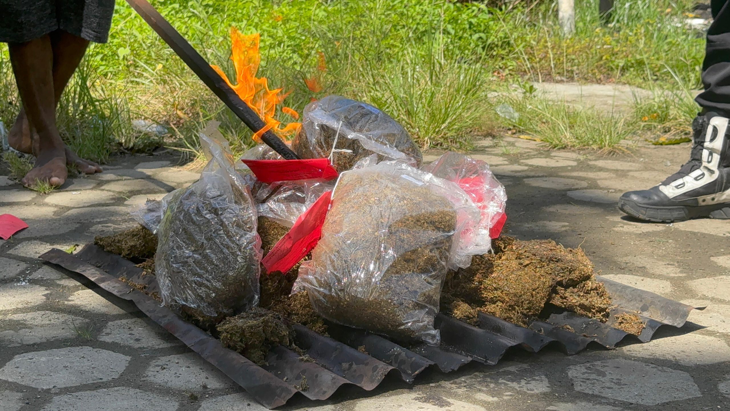 Penyidik Sat Narkoba Polresta Musnahkan Lebih Dari 5 Kilogram Ganja Hasil Penangkapan