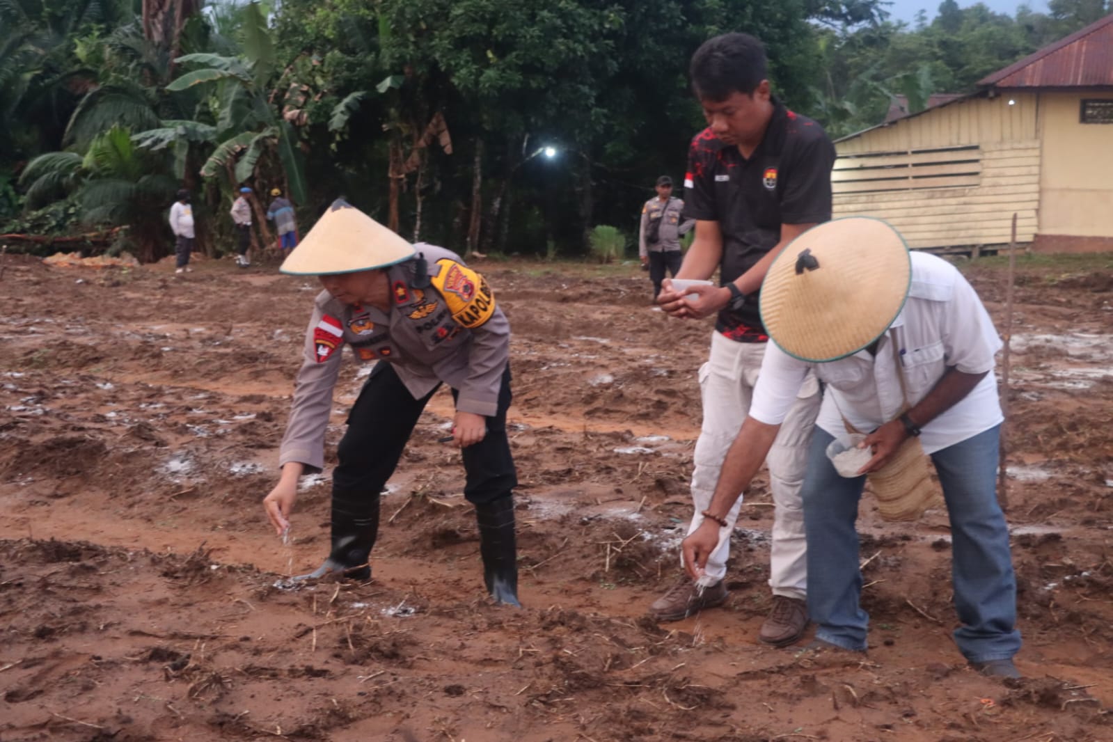 Dukung Ketahanan Pangan Nasional, Polres Mappi Gandeng Dinas Pertanian Tanam Jagung Serentak