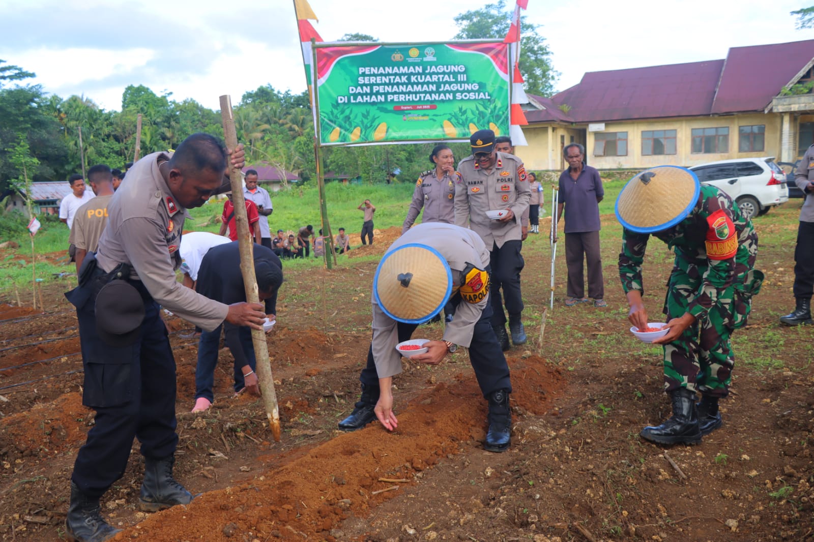 Polres Supiori Gelar Penanaman Jagung Kuartal III Di Lahan Perhutanan Sosial Bersama Dinas Pertanian Dan Masyarakat