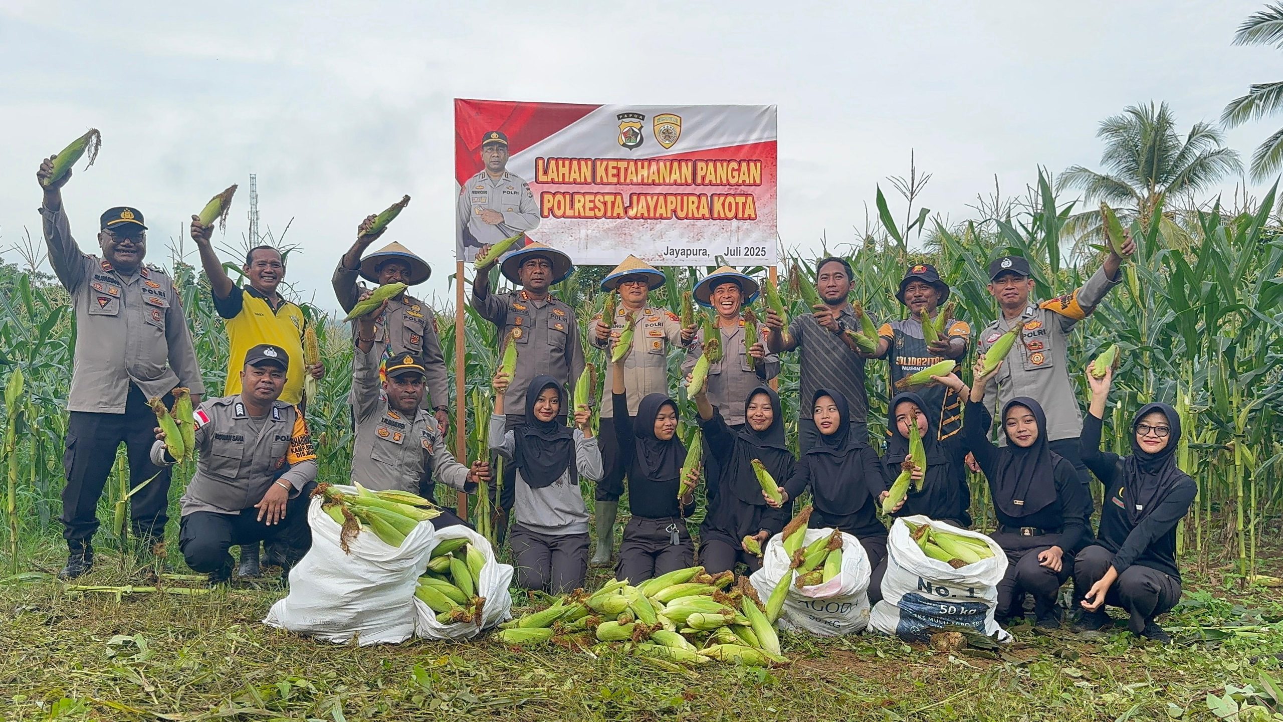 ‎‎Kapolresta Panen Jagung Seluas Setengah Hektar di Lokasi Ketahanan Pangan Binaannya