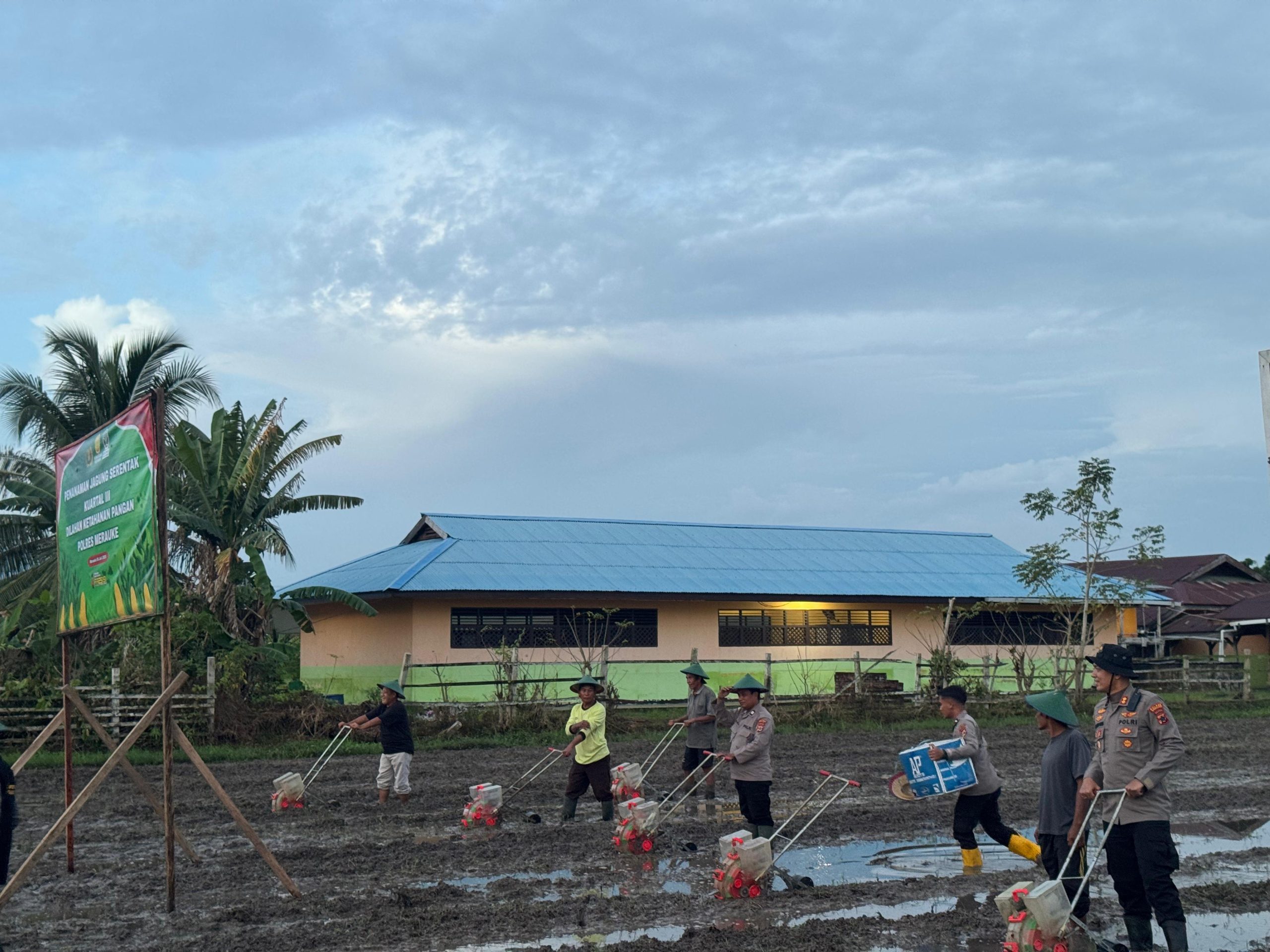 Kapolres Merauke Pimpin Penanaman Jagung Serentak Kwartal III di Lahan Ketahanan Pangan Distrik Semangga
