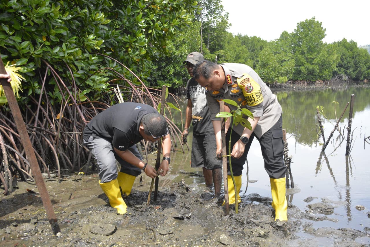 RRI Jayapura dan Polda Papua Tanam Mangrove Sambut Hari Bakti ke-80
