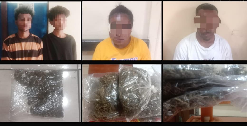 Empat Calon Penumpang Kapal Tertangkap Tangan Bawa Ganja di Area Pelabuhan Jayapura