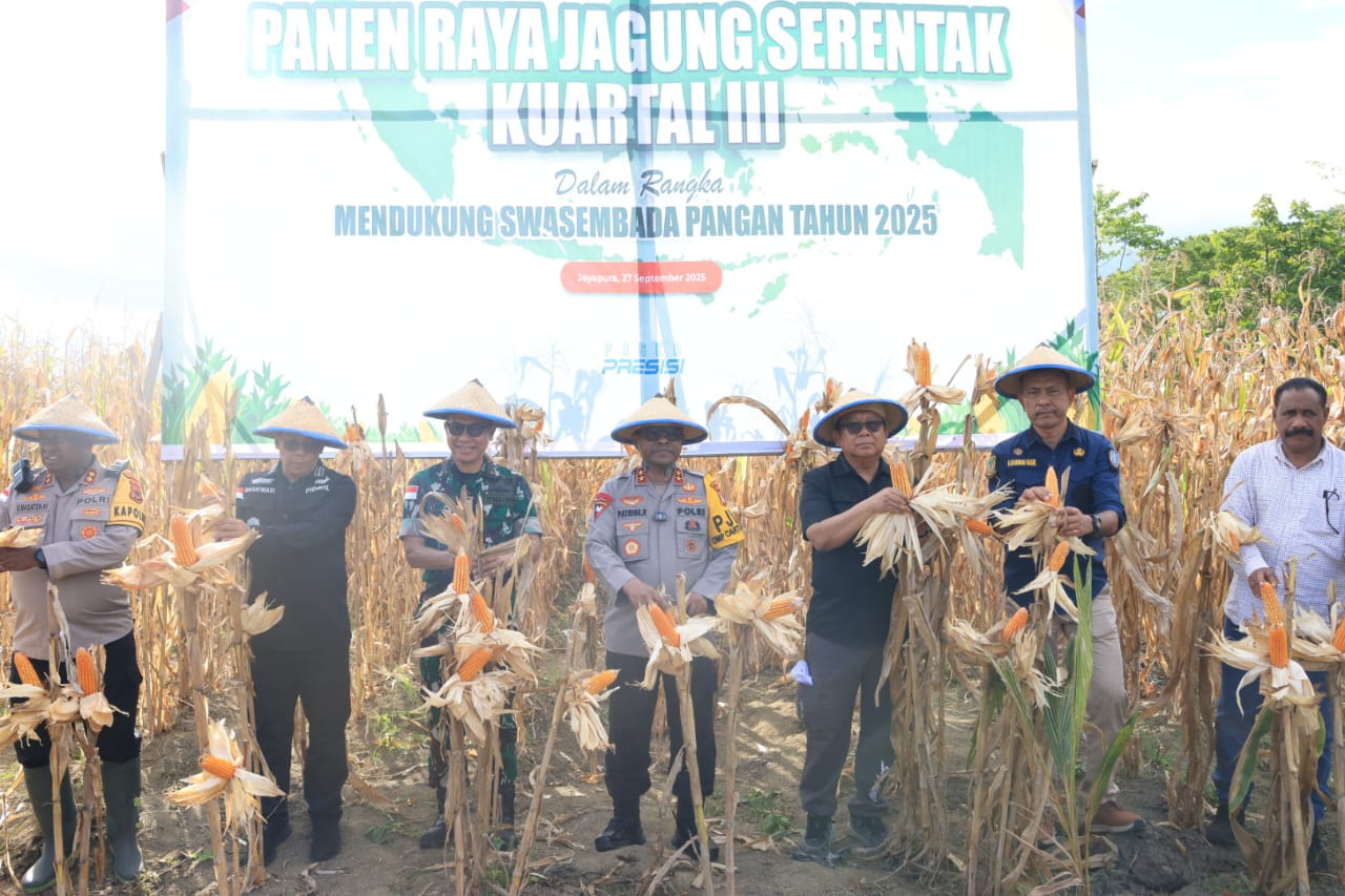 Kapolda Papua Pimpin Panen Raya Jagung Kuartal III, Wujudkan Dukungan Polri terhadap Swasembada Pangan
