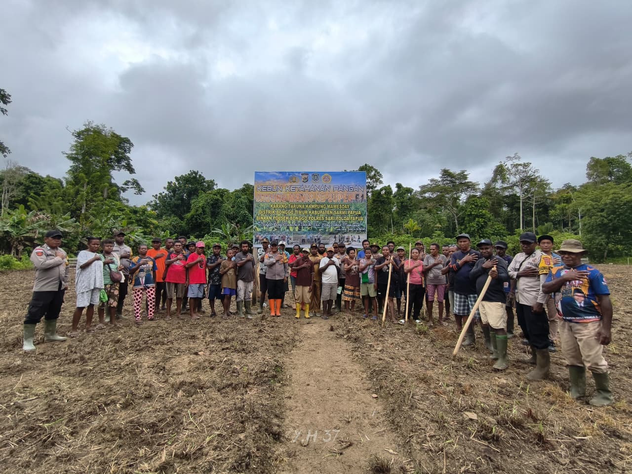 Polsek Bonggo Gandeng Karang Taruna, Tanam Jagung Manis untuk Ketahanan Pangan