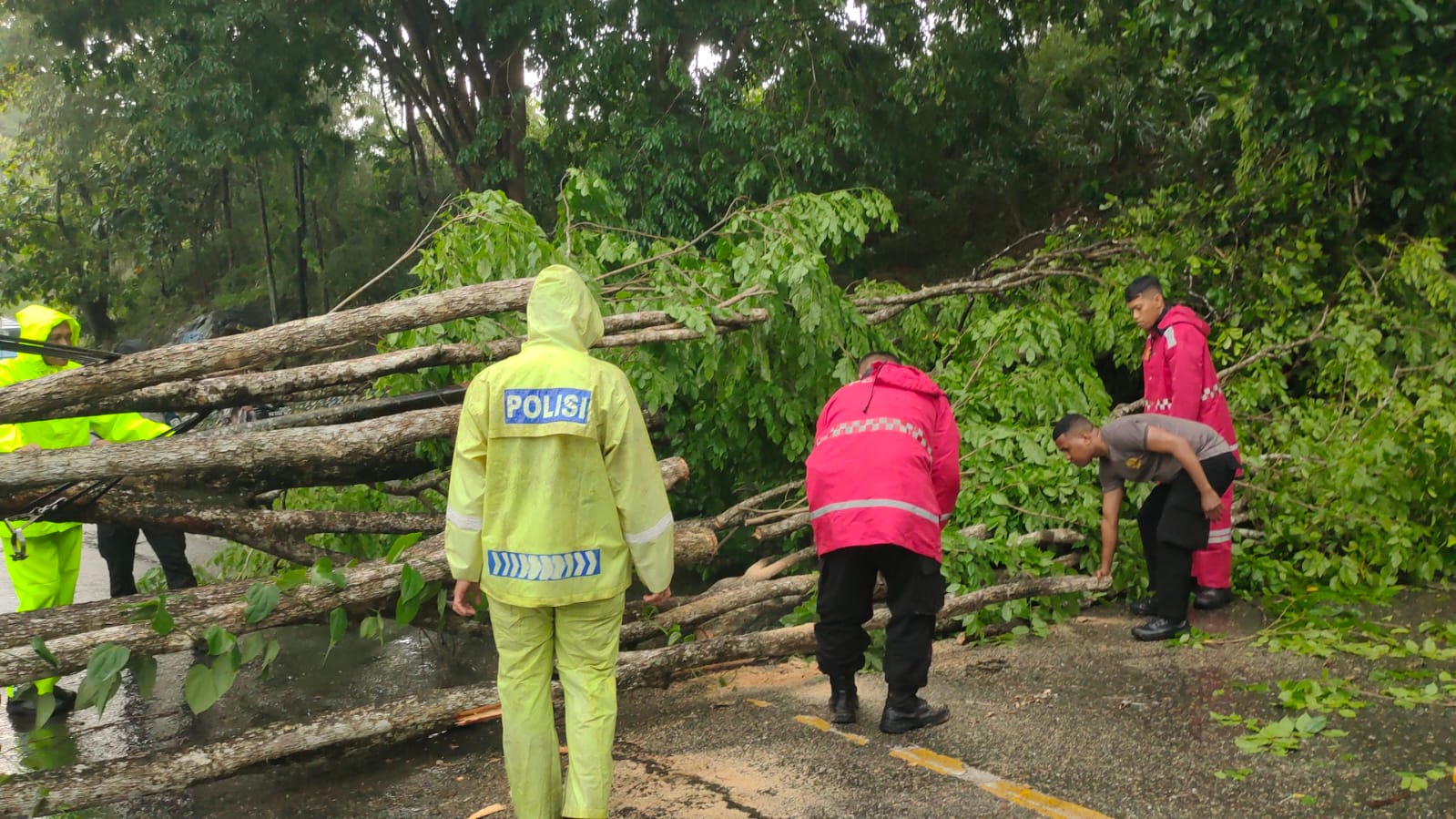 Aksi Cepat Polri Tangani Dampak Angin Kencang di Jayapura