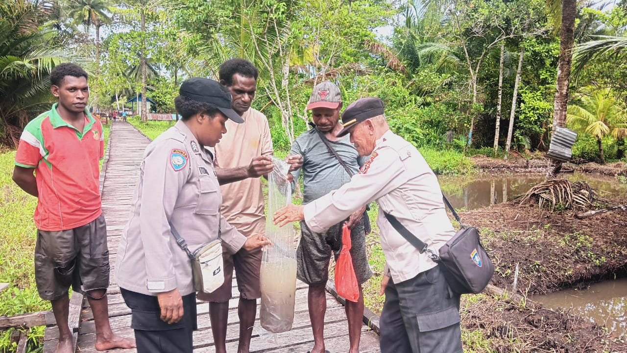 Polri Untuk Masyarakat, Kasat Binmas Polres Asmat Serahkan Bibit Ikan Lele ke Tiga Kampung