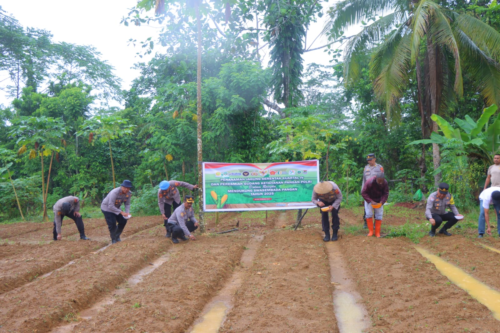 Polres Supiori Laksanakan Penanaman Jagung Serentak Kuartal IV dan Resmikan Gudang Ketahanan Pangan Polri