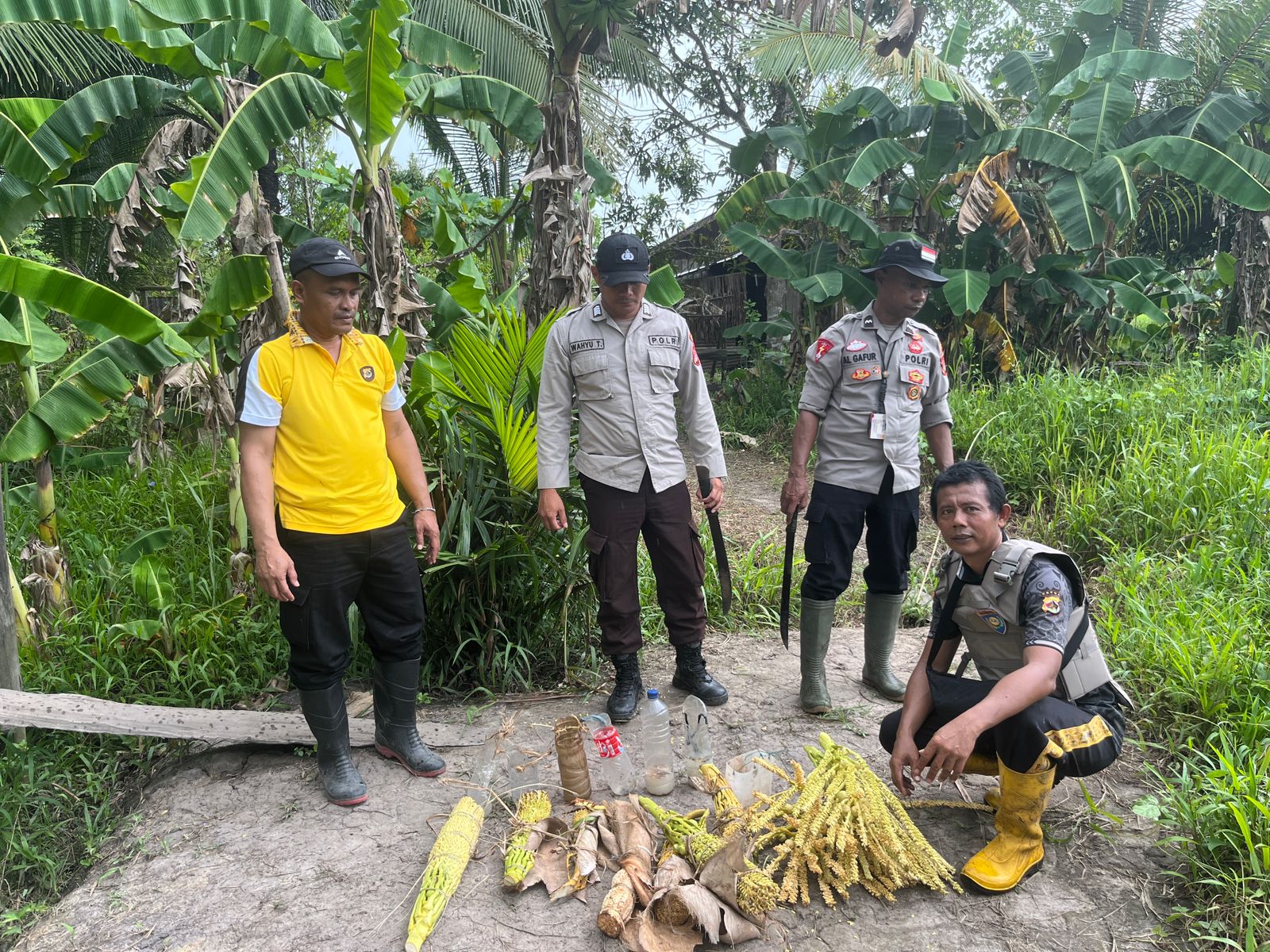 Polsek Kimaam Gelar Razia Sagero, Puluhan Mayang Kelapa Berhasil Diamankan