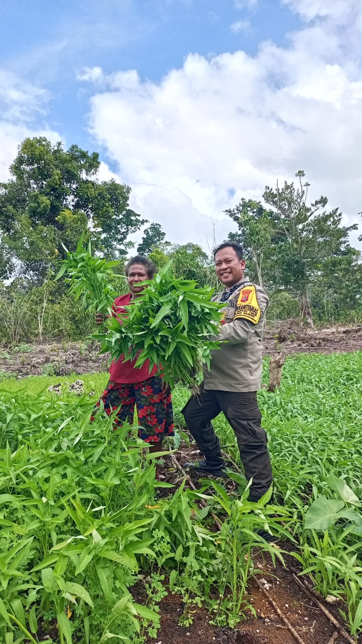 Giat Sambang dan Panen Kangkung di Kampung Duber