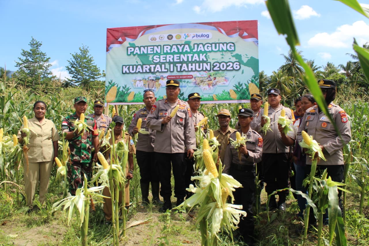 Polsek Sentani Kota Gelar Panen Raya Jagung Serentak Kuartal I Tahun 2026