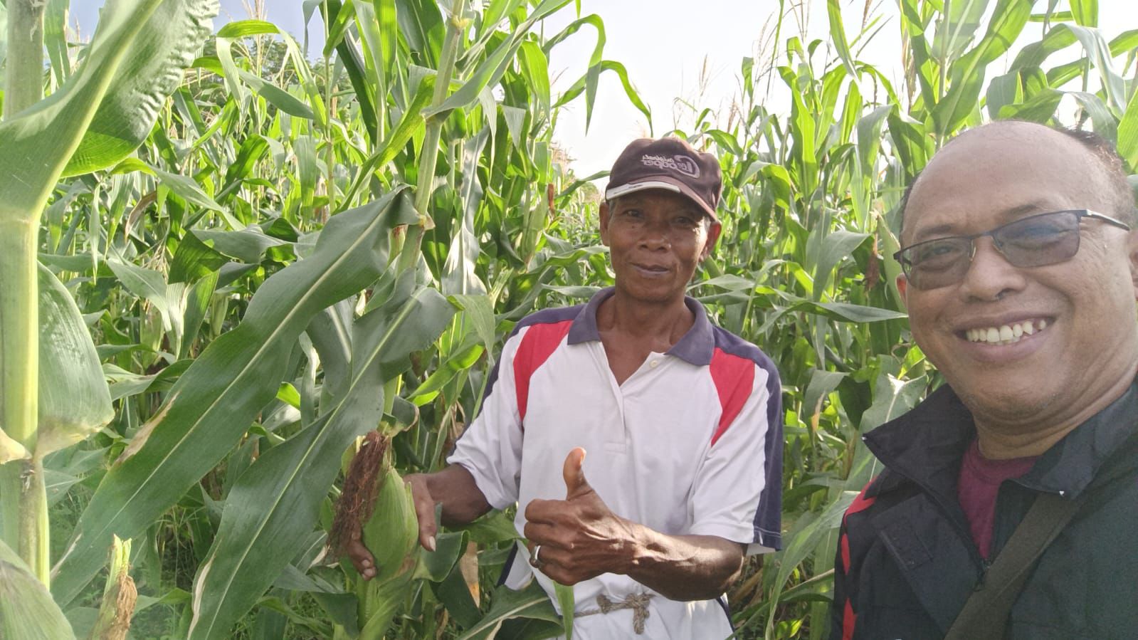 Kapolsek Jagebob Tinjau Lahan Jagung Tongkol di Kampung Angger Permegi