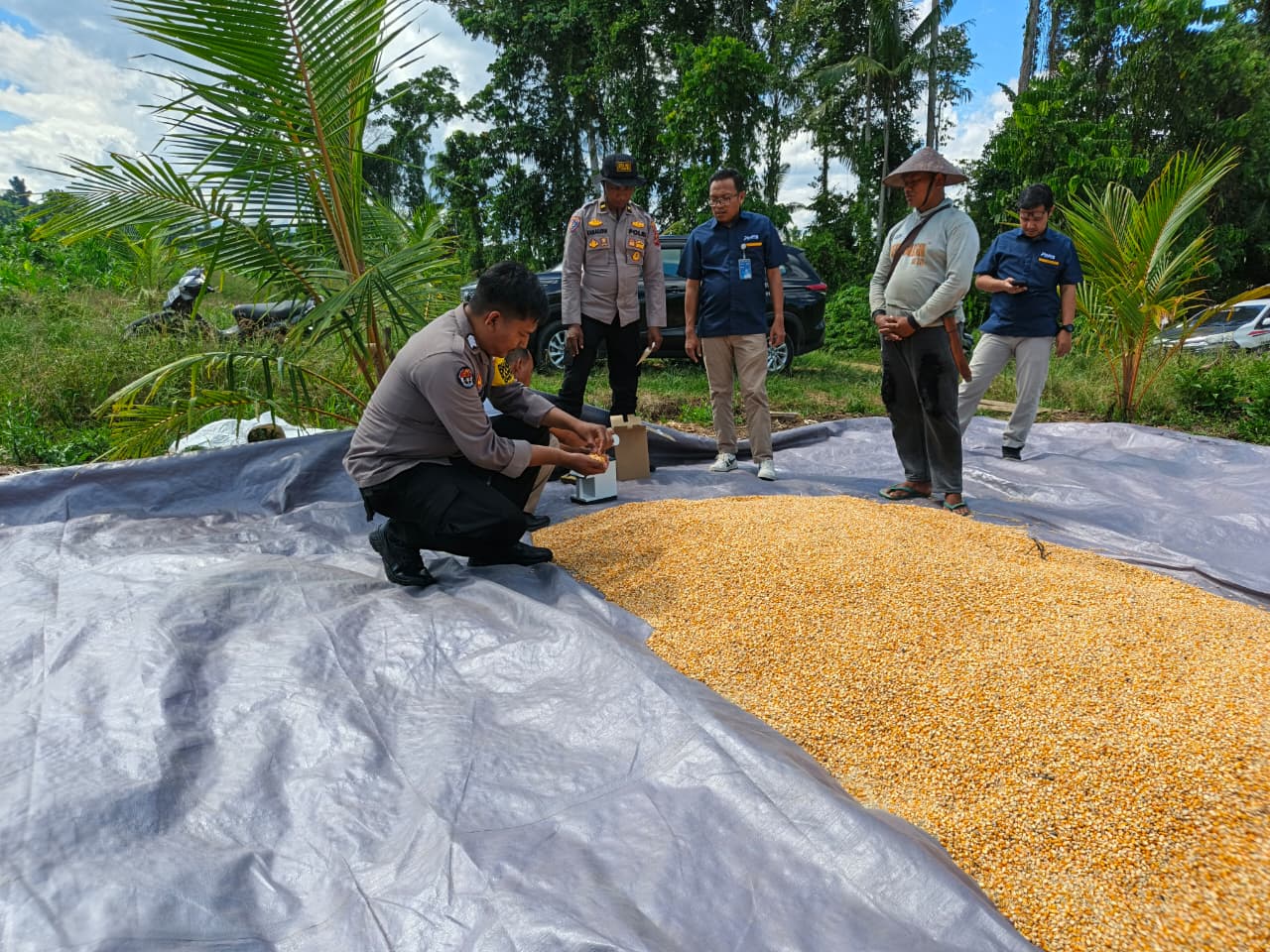 Polres Keerom Dukung Ketahanan Pangan, Dampingi Uji Kadar Air Jagung Kelompok Tani Agro Makmur
