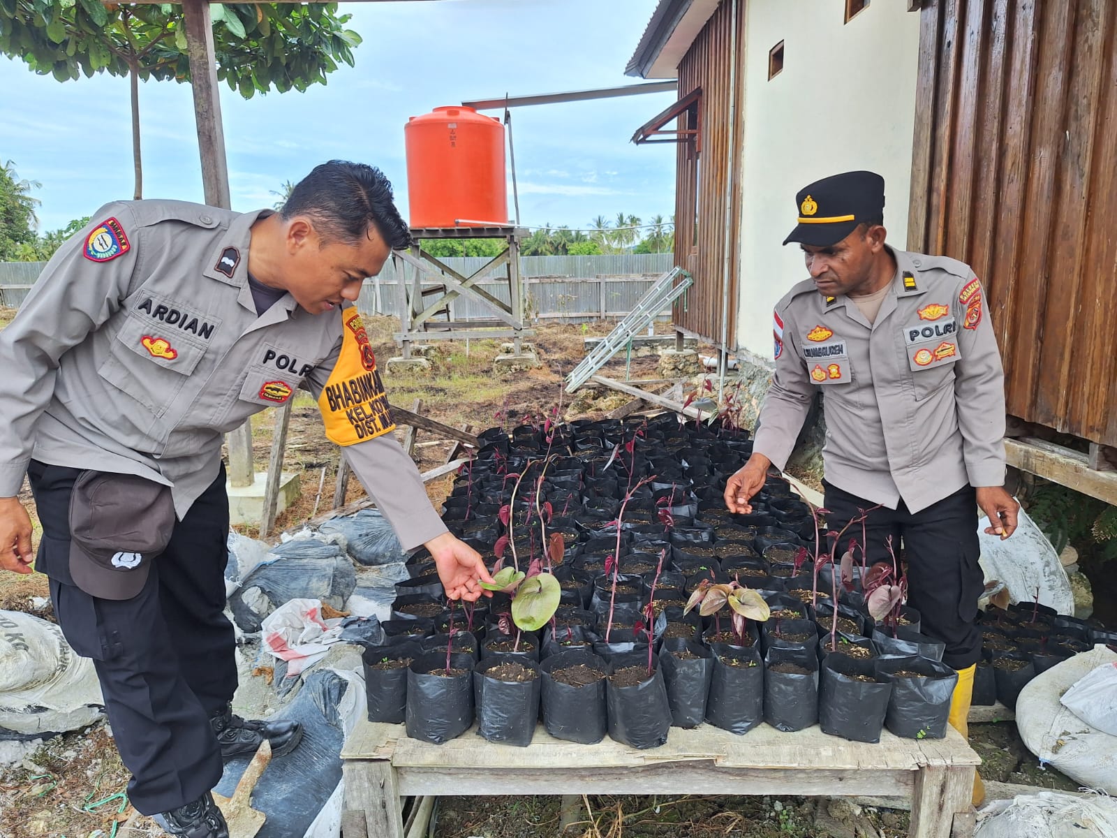 Dukung Program Asta Cita Presiden RI, Polsek Muara Tami Intens Monitoring Lahan Ketahanan Pangan
