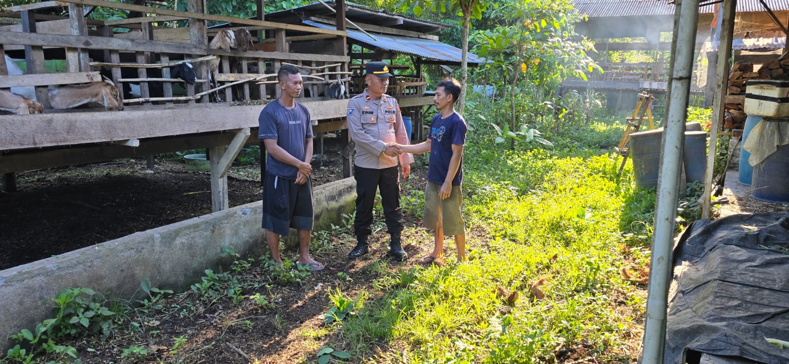 Kembali Lagi Bhabin Kelurahan Mararena Sambangi peternak Kambing