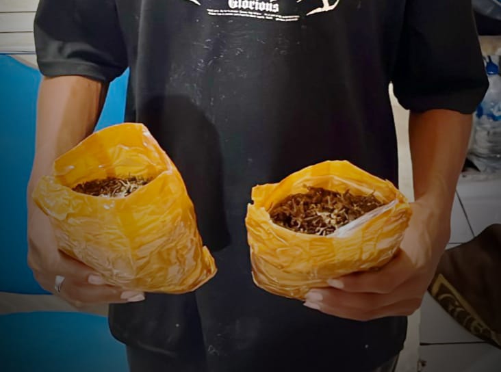 ‎Dalam Sehari Tim Opsnal Narkoba Polresta Amankan Setengah Kilogram Ganja, Dua Terduga Pelaku Dibekuk