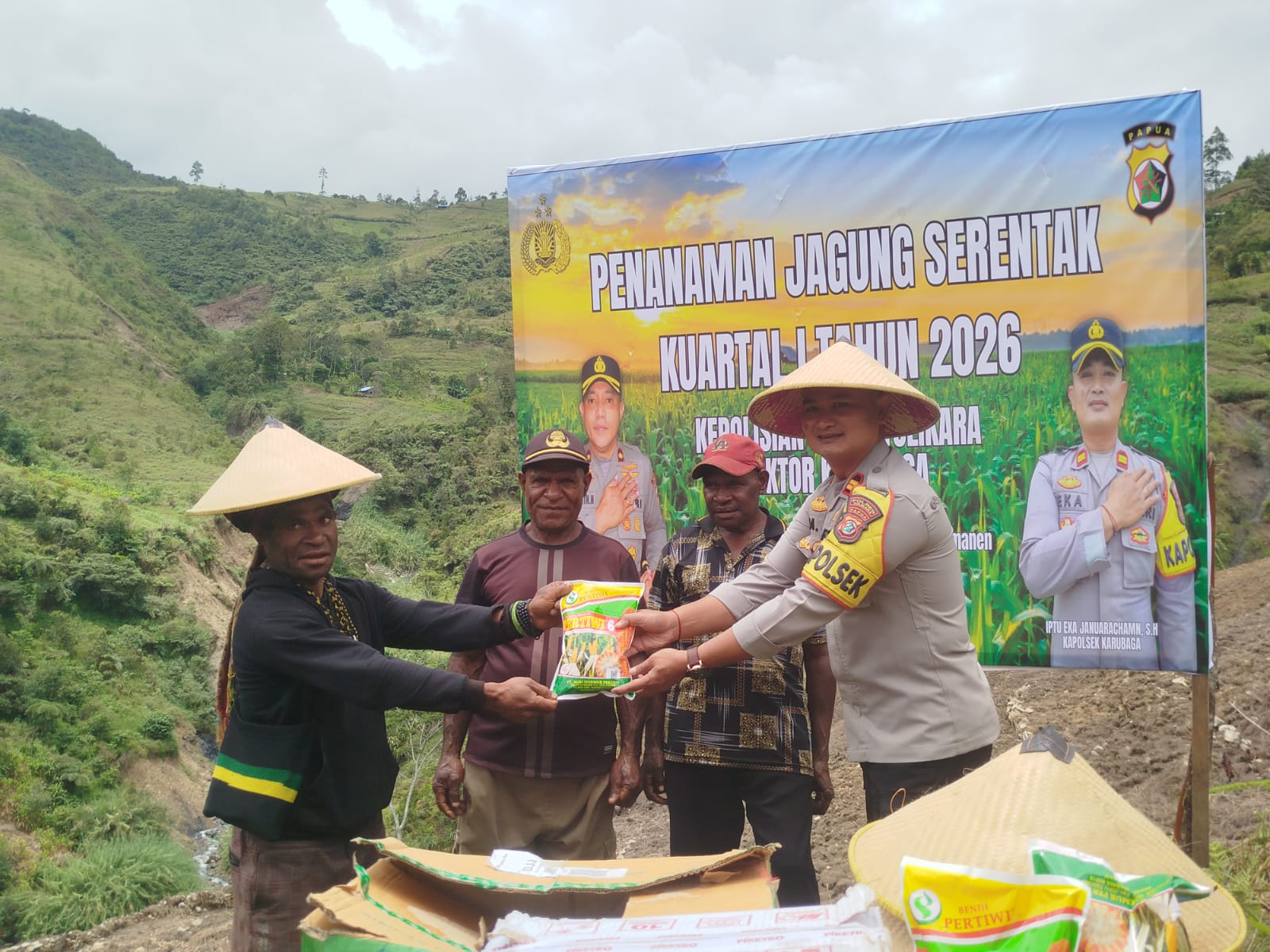 Polres Tolikara Serahkan Bibit Jagung dan Laksanakan Penanaman Serentak Kuartal I Tahun 2026 di Distrik Wenam
